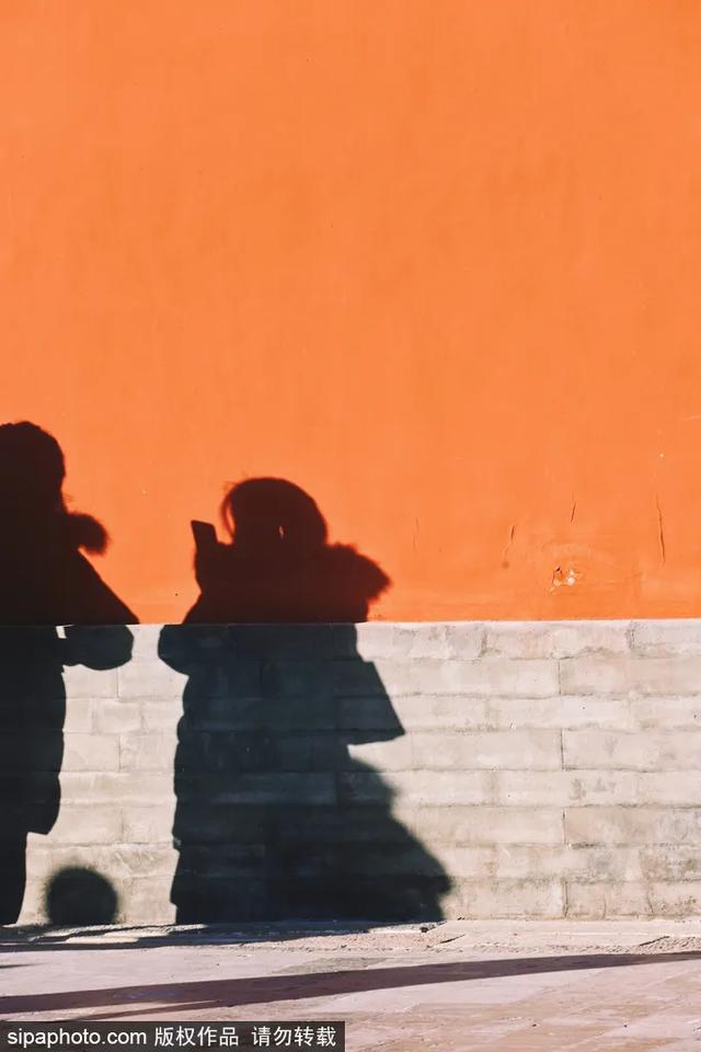 故宫年票和门票有什么区别（终于买到故宫年票）(30)