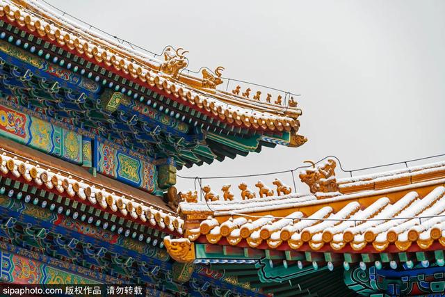 故宫年票和门票有什么区别（终于买到故宫年票）(5)