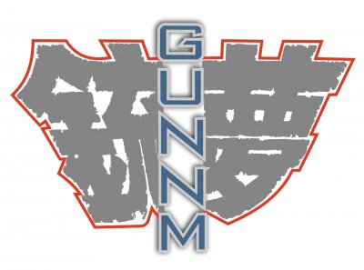 ​关于《阿丽塔：战斗天使》和日本著名漫画《铳梦》的渊源