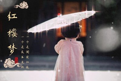 ​《红楼梦》中袭人将芳官放上宝玉的床，到底怎么回事？