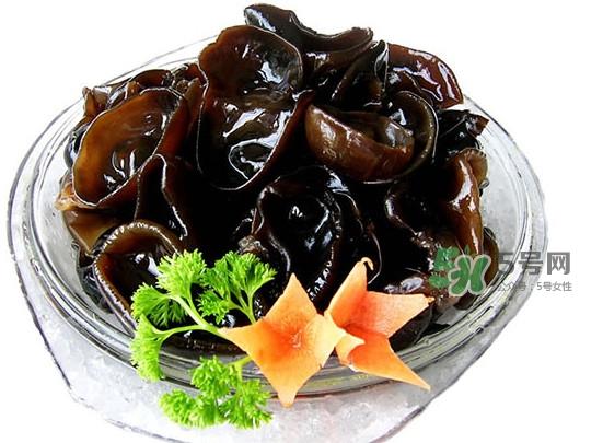 木耳菜是什么季节的菜？木耳和木耳菜有区别吗