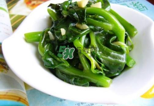 木耳菜是什么季节的菜？木耳和木耳菜有区别吗