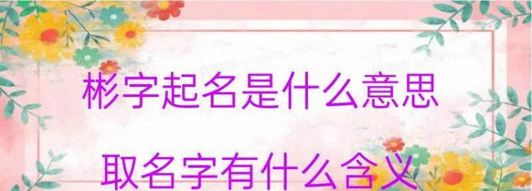 浩睿名字的含义是什么