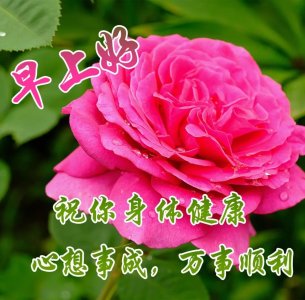 ​大家早上好最新带字动态图片， 每日清晨朋友圈问候语图片大全