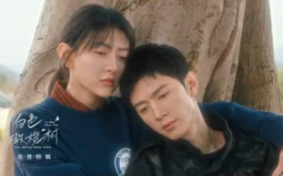 ​白色橄榄树电视剧演员名单，白色橄榄树演员表