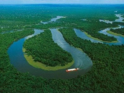 ​亚马逊雨林真正的恐怖之处是什么？