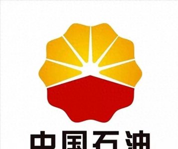 ​中国石油化工集团有限公司原董事长，蒋洁敏简历