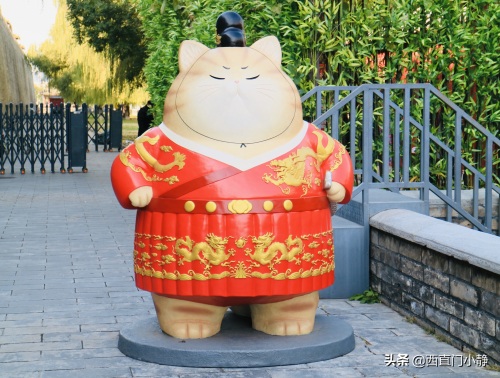 打卡新圣地来啦！北京故宫现巨型“御猫”萌翻众人