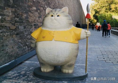 打卡新圣地来啦！北京故宫现巨型“御猫”萌翻众人