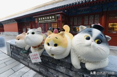 ​打卡新圣地来啦！北京故宫现巨型“御猫”萌翻众人