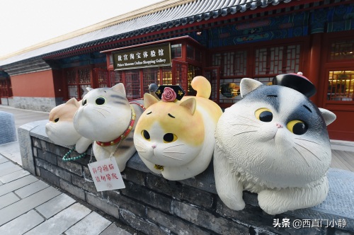 打卡新圣地来啦！北京故宫现巨型“御猫”萌翻众人