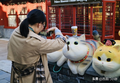 打卡新圣地来啦！北京故宫现巨型“御猫”萌翻众人