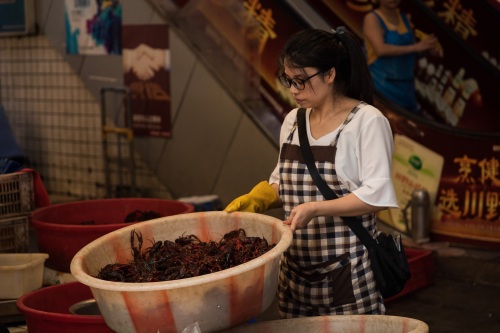 成都青石桥海鲜市场纪实 网友：品种不如武汉华南海鲜市场多