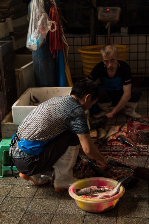 成都青石桥海鲜市场纪实 网友：品种不如武汉华南海鲜市场多