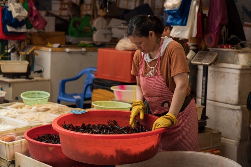 成都青石桥海鲜市场纪实 网友：品种不如武汉华南海鲜市场多