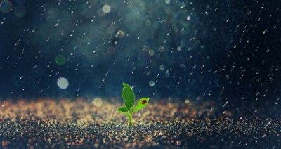 ​【七绝】十首