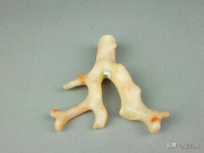 ​珊瑚玉简介