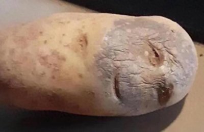 ​25张“幻想性错觉”照，一旦接受设定，就回不去了