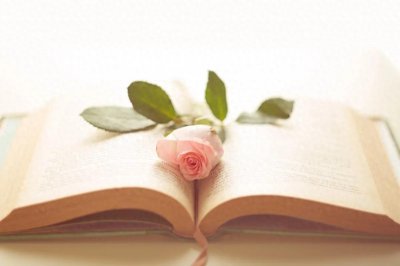 ​四姐妹（海子）