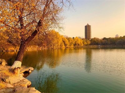 ​去北京旅游，不买果脯不买烤鸭，伴手礼还可以选这几样