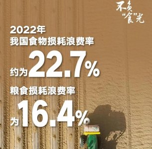 ​粮食浪费警钟长鸣：珍惜每一粒粮食，从我做起！