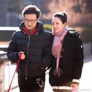 ​汪峰章子怡宣布离婚，解除婚姻关系引发热议，真相揭晓！