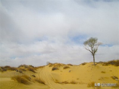​离北京最近的沙漠：库布齐沙漠