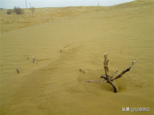 离北京最近的沙漠:库布齐沙漠