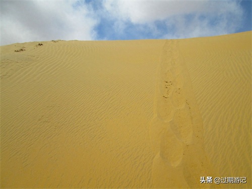 离北京最近的沙漠:库布齐沙漠