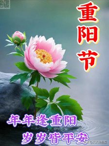 ​10月23日-重阳节漂亮图片祝福