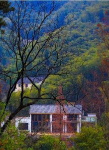 ​[探庐·莫干山]大乐之野——被遗忘的美好之地