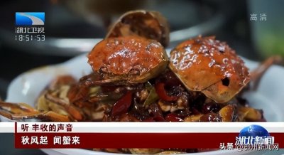 ​梁子湖：迟到的大闸蟹终于来了