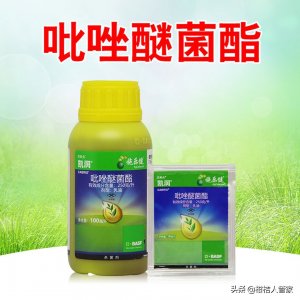 ​吡唑醚菌酯的主要功能及使用方法