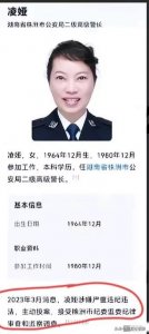 ​无耻！美女局长酒后当众脱衣！背后的勾当更让人难以置信