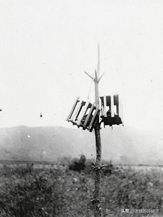 直击清末刑场,图1是刽子手,图3正在吃上路饭,图4是枭首示众