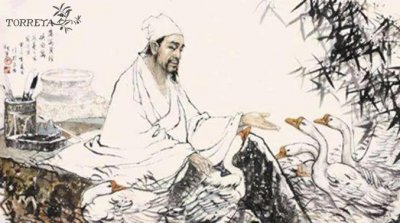 ​香榧为何能傲视其他树种？成为天生的霸者！