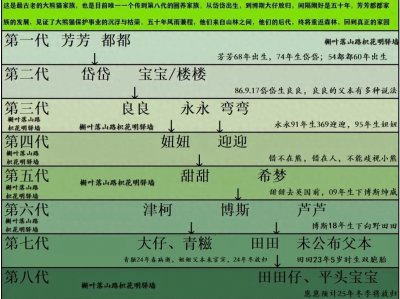 ​泪目！整整五十年，中国最古老的熊猫家族，即将回归森林