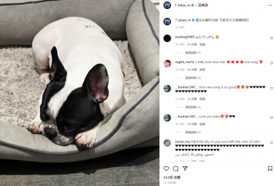 ​笑不活了！鹿晗与知名狗仔隔空对喷，互相暗骂不带一个脏字