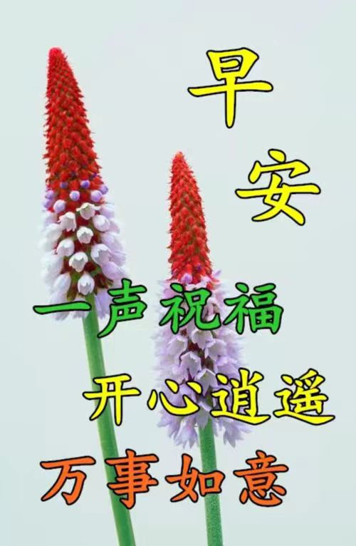 6月几号是父亲节(6月19父亲节感恩父亲)