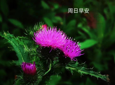 ​6月几号是父亲节（6月19父亲节感恩父亲）