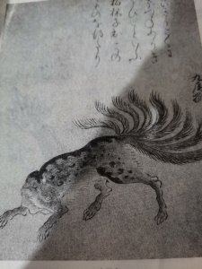 ​山海经之动物—九尾狐