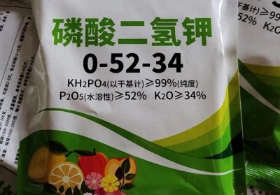 ​磷酸二氢钾控旺，用对方法才行，4个关键点要记好！