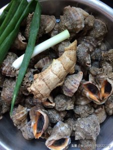 ​清蒸海螺怎么做才好吃