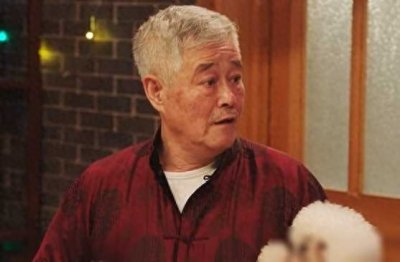 ​《乡村爱情16》欢迎新角色，星二代和导演带来情感新篇章，部分