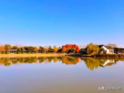 ​上海第一座郊野公园，已是免费的4A景点，人气却远不及浦江和青西