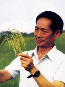 ​袁隆平：为人类粮食安全贡献一生的科学家