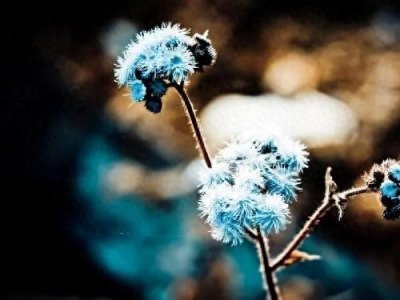 ​一个人一生能走多远？看这三条。