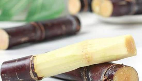 甘蔗过夜能吃吗为什么