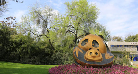 成都熊猫基地在哪,熊猫基地在成都哪个区图1