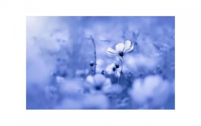 ​【水瓶座女生性格特点的优势和劣势是什么？】